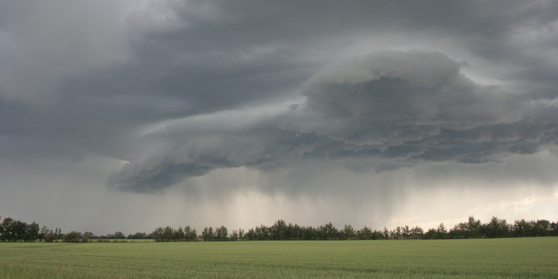 Weatherproofing Your Beekeeping Business