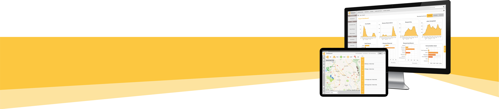 Yellow Banner