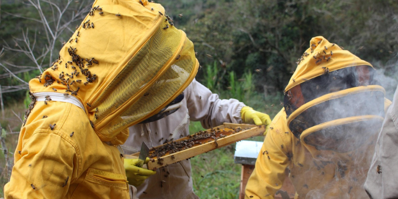 Another season Same stress Same problems