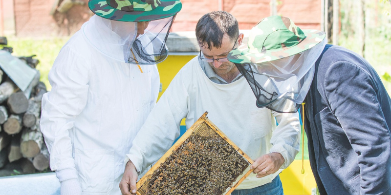 How to Identify and Develop Future Leaders in Your Beekeeping Business